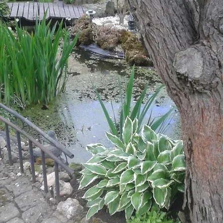 Appartement In Berlingen Mit Garten Und Terrasse Berlingen